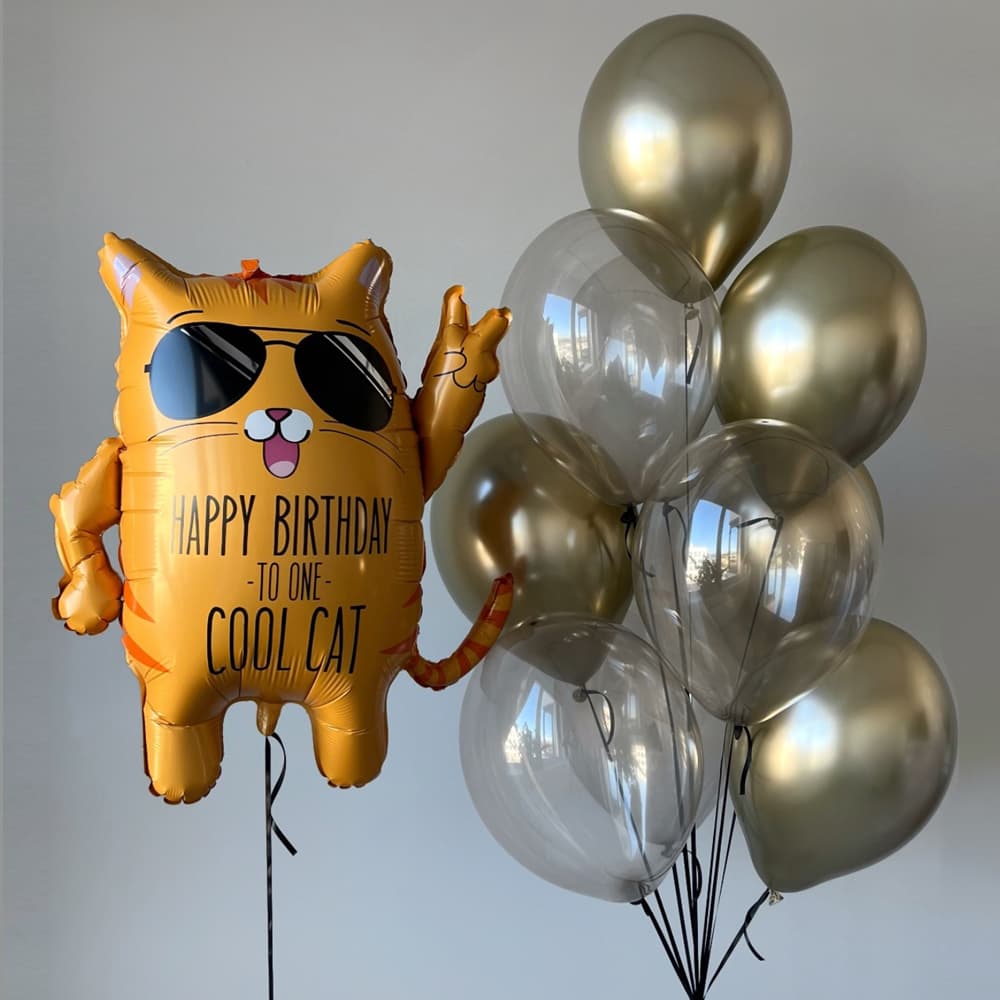 Кульки на день народження «Крутий Кіт»