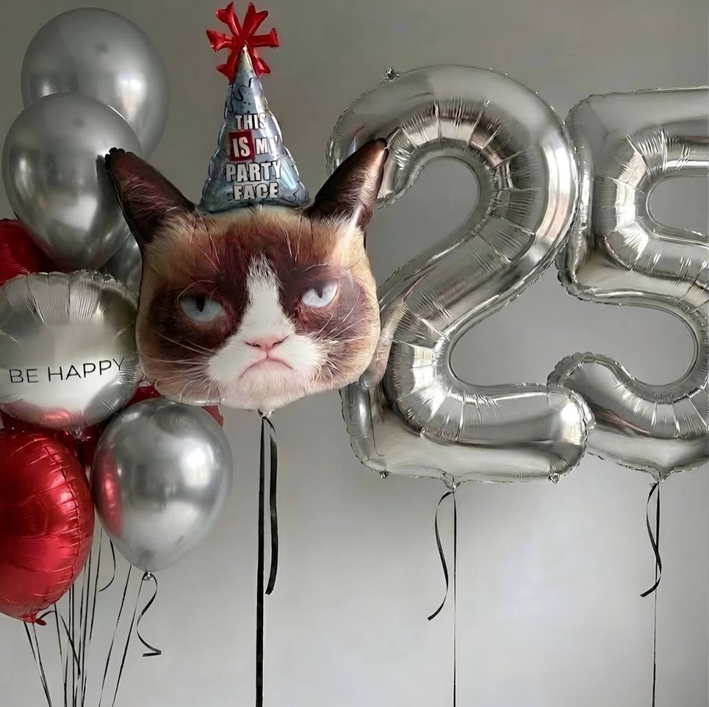 Кульки на день народження з саркастичним котом «PARTY FACE»